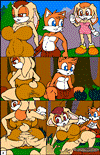 tails mishap paradice porn comic sonic the hedgehog by terrenski 04