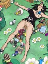 onepiece porn imageset 78